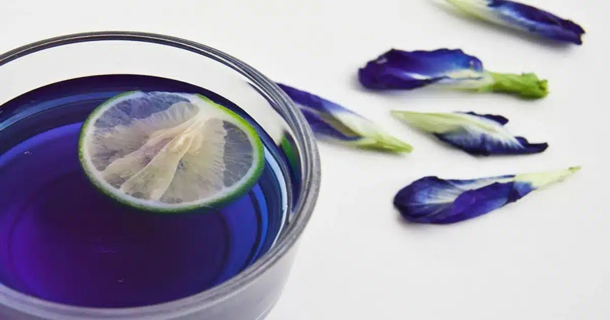 gol gav zaban borage tea