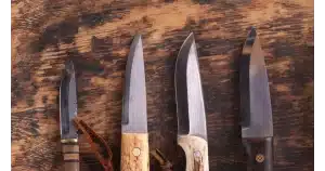 carbon steel knives