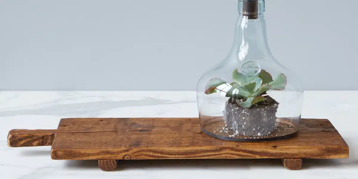 A Comprehensive Overview of the Wood Riser Tray – A Must-Have Accessory For Home Decor 1 wood riser tray