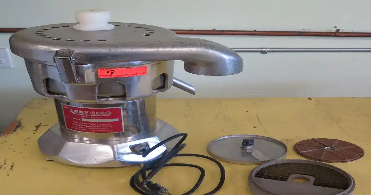 Top 15 Best Ruby Juicer Reviews & Comparison 2023