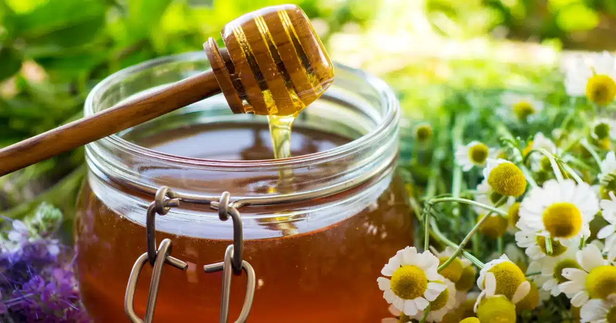 best organic raw honey reviews