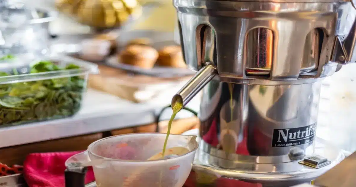 What Sets The Nutrifaster N450 Apart? A Detailed Review 1 nutrifaster n450